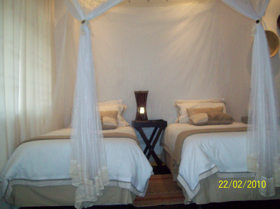 Damfela Eco Lodge主图