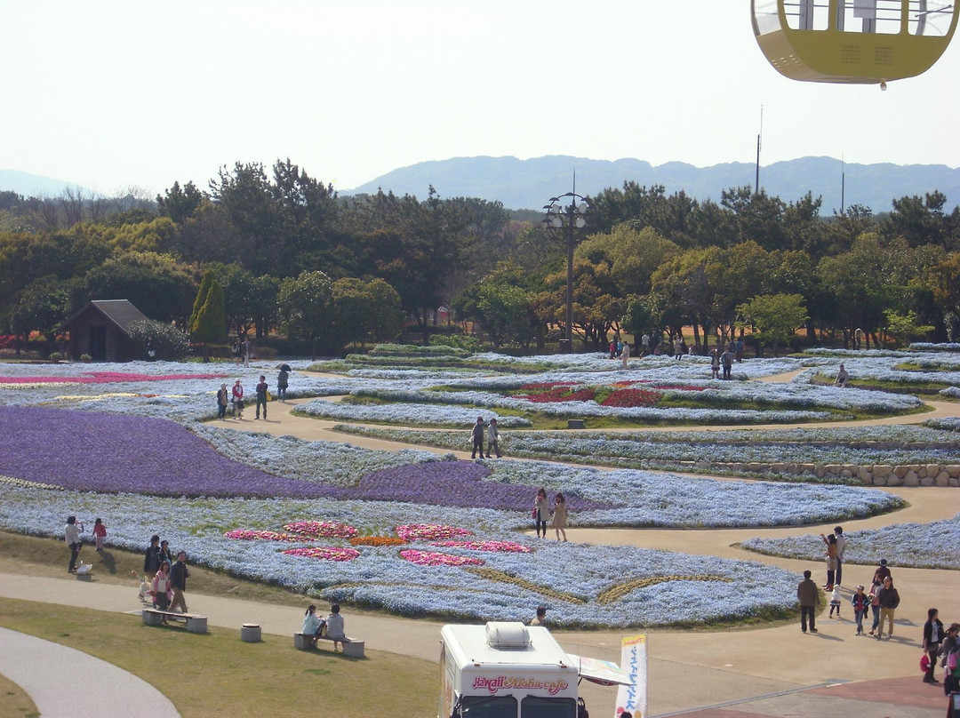 海中道海滨公园-福冈市必去景点