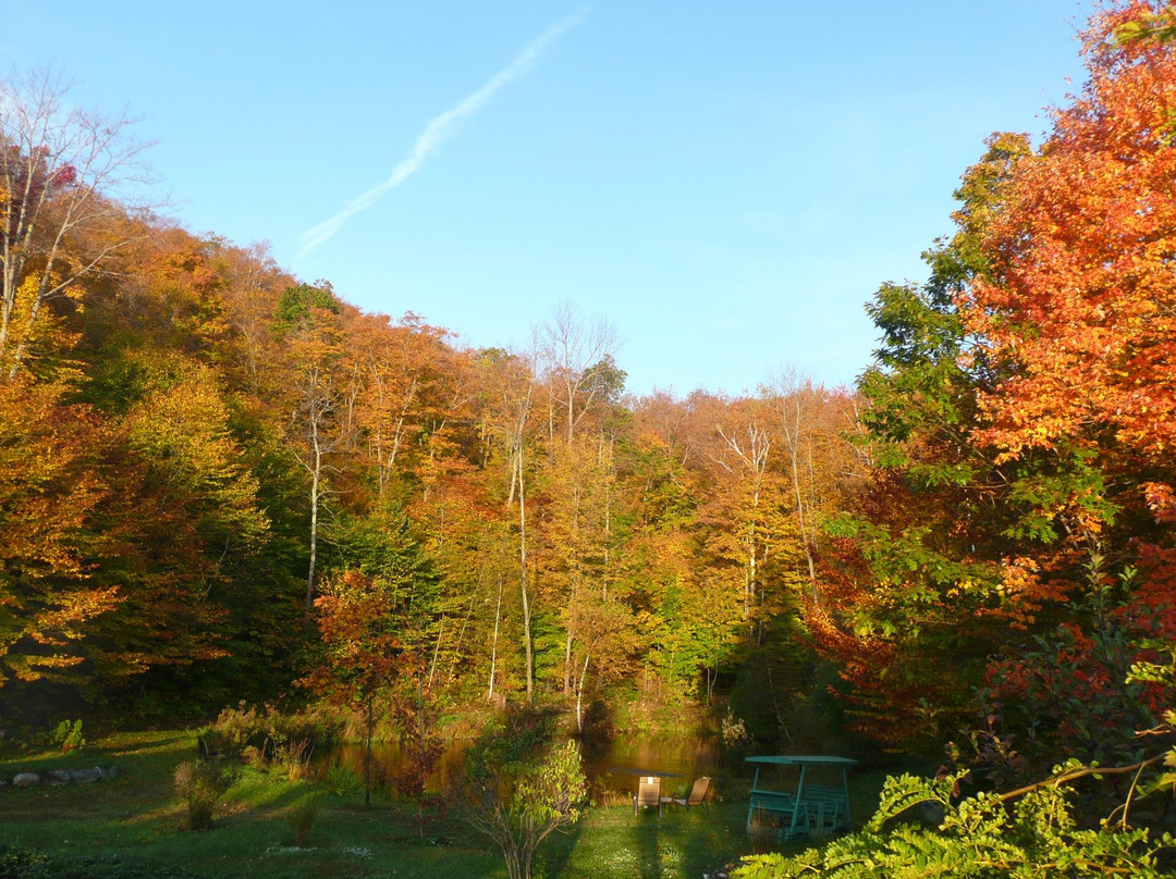 快乐利德斯旅馆主图