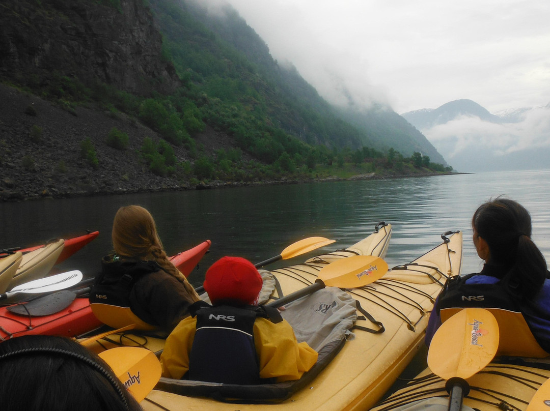 Njord - Seakayak and Wildernes Adventures-弗洛姆必去景点