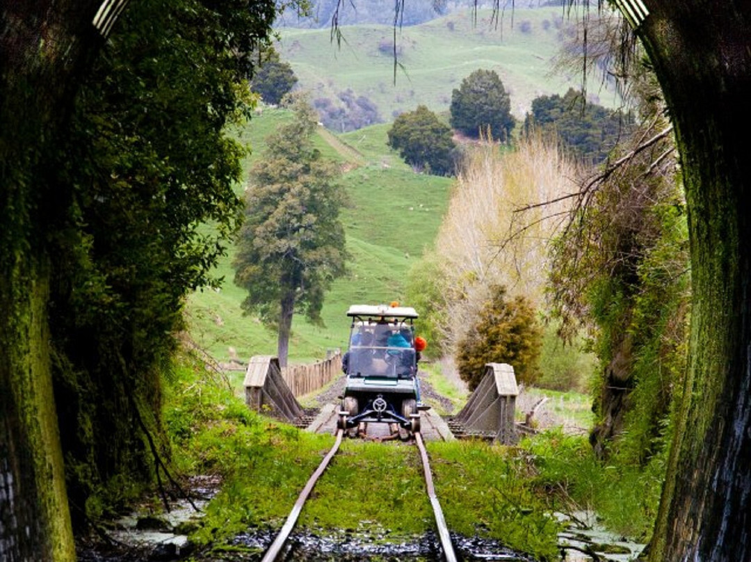 Alexander Motel主图