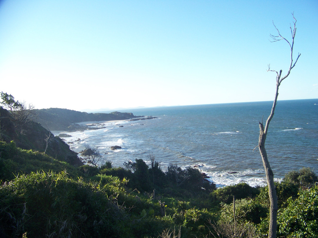 海边漫步-麦克夸利港必去景点