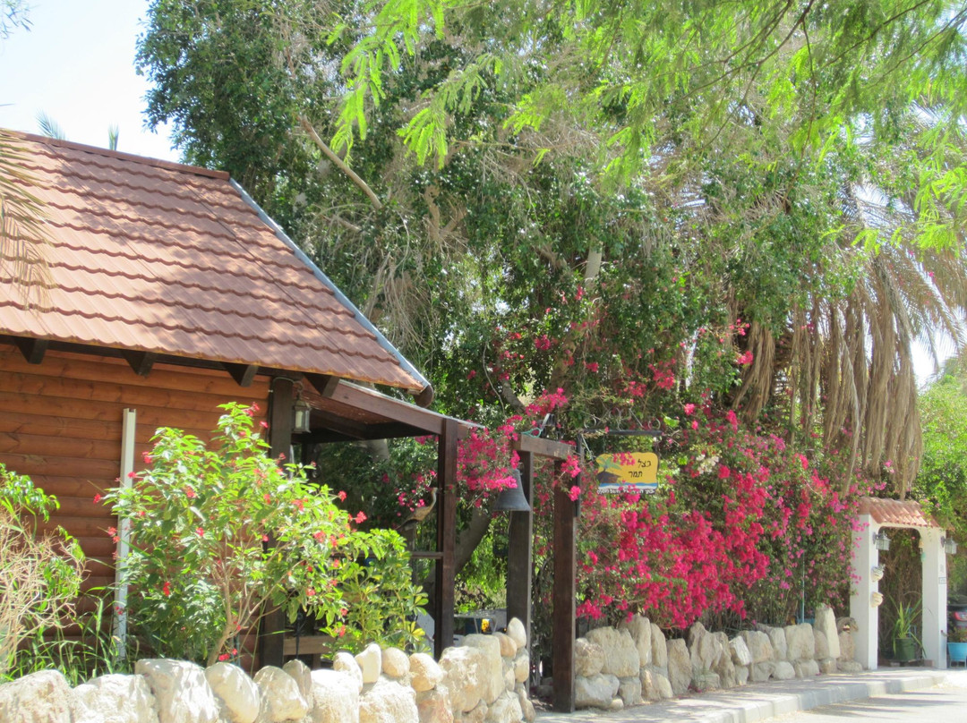 Dead Sea Tamar's Cabin