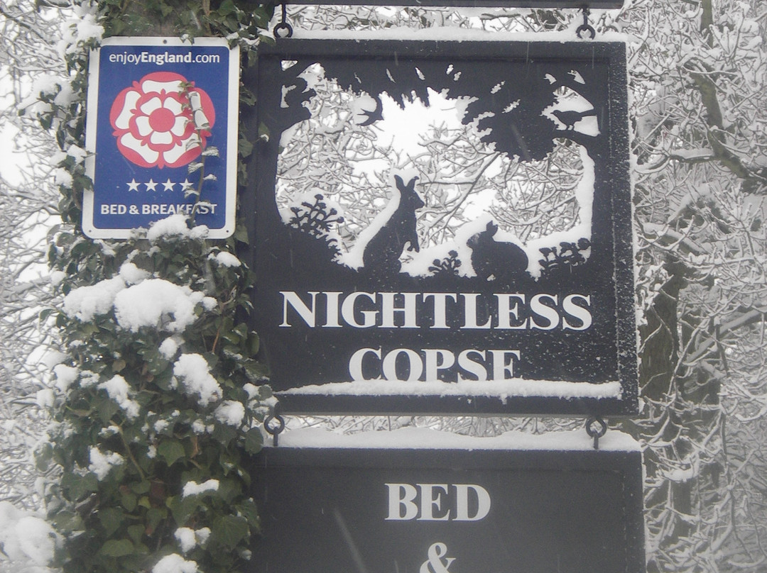 Nightless Copse主图