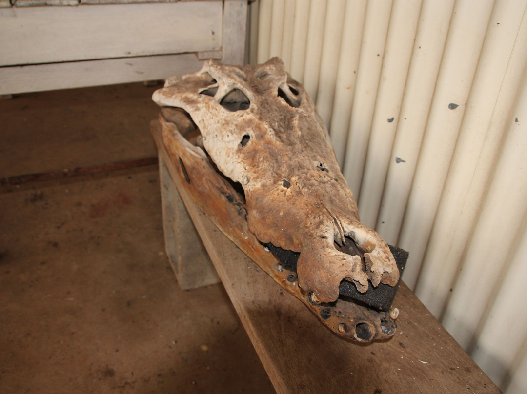 Timber Creek Police Station and Museum-Timber Creek必去景点