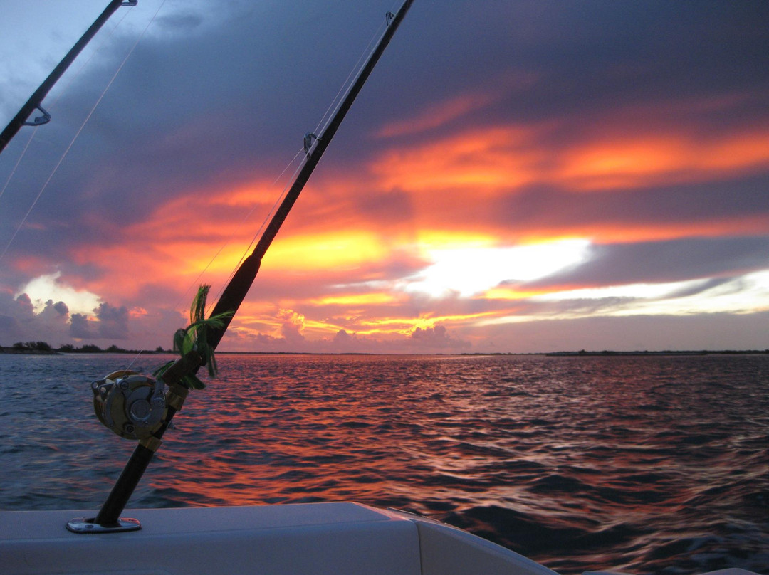 Talbot's Adventures-格雷斯湾必去景点