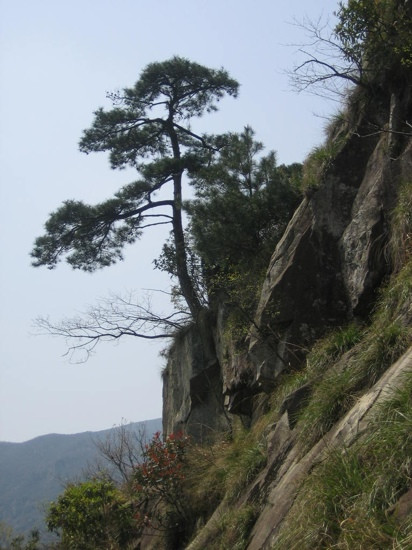 临安神龙川景点图片
