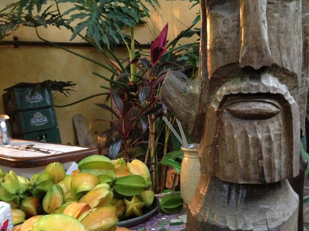 Posada Turpial主图