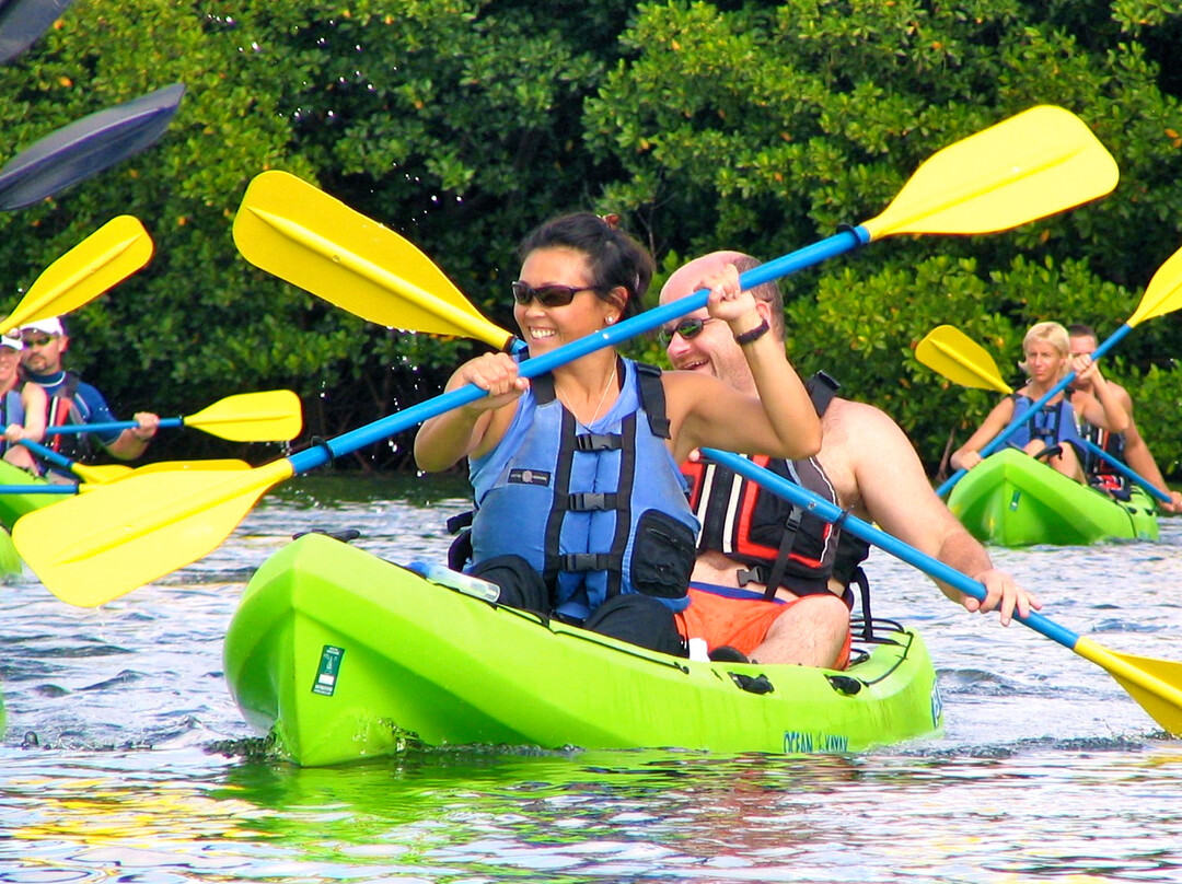 Virgin Islands Ecotours-圣 托马斯必去景点