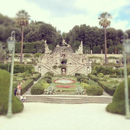 Storico Giardino Garzoni -  Casa delle Farfalle景点图片