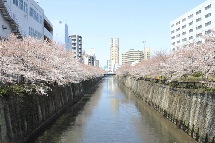Tokyo Bicycle Tour-Nakameguro必去景点