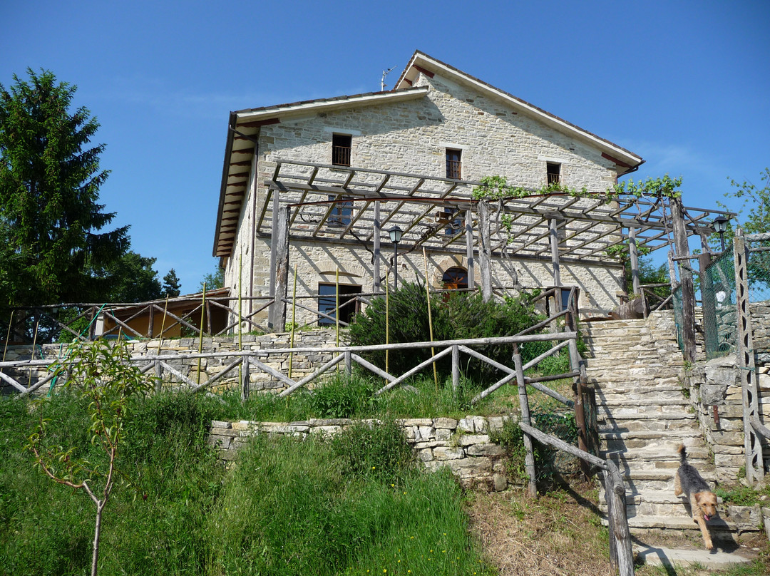 Agrotourism La Balucca