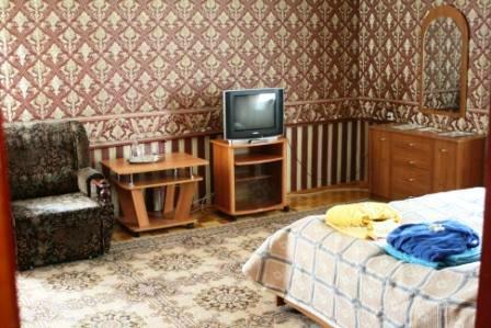 Uyutny Dom na Moskovskoy Mini Hotel-客卧