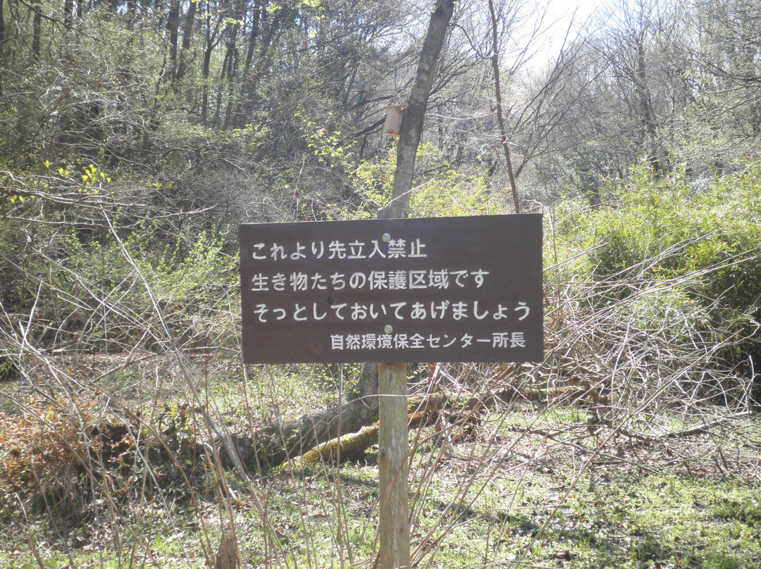 Kanagawa Prefectural Nature Conservation Center景点图片