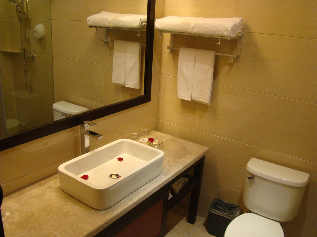 昆明枫叶王府酒店主图