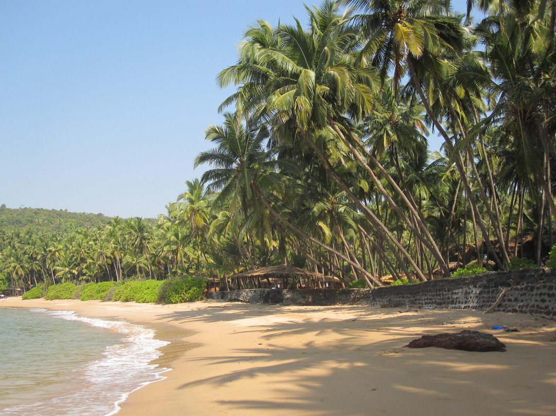 Khola Beach-格纳戈纳必去景点