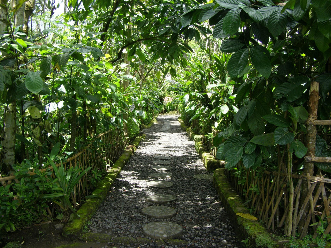 Buana Amertha Sari (BAS)-邦利必去景点