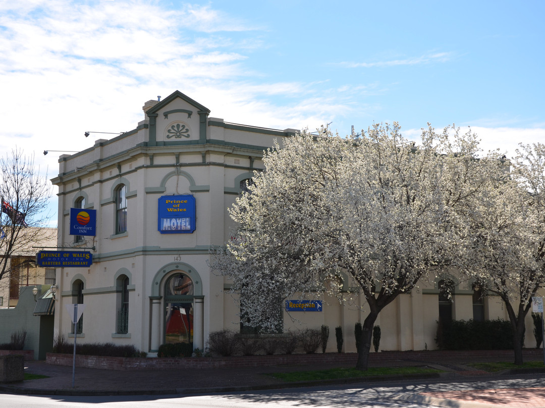 Prince of Wales Motor Inn