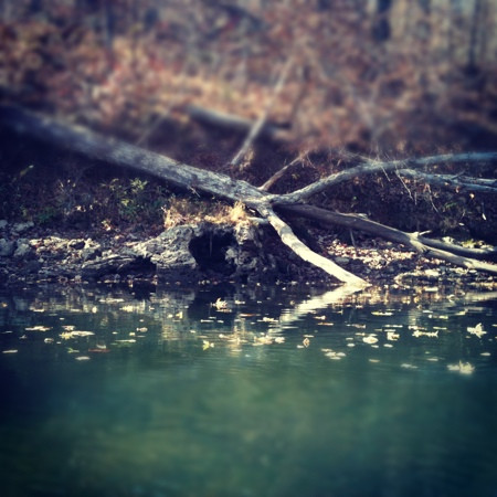 Swinging Bridge-Brumley必去景点