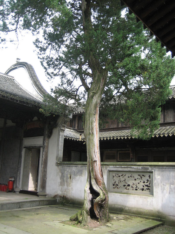 斯宅村景点图片
