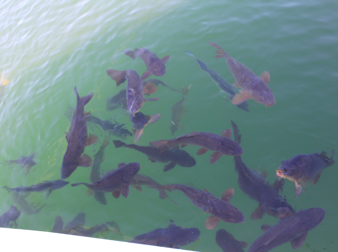 葛兰峡谷国家旅游度假区-佩吉必去景点