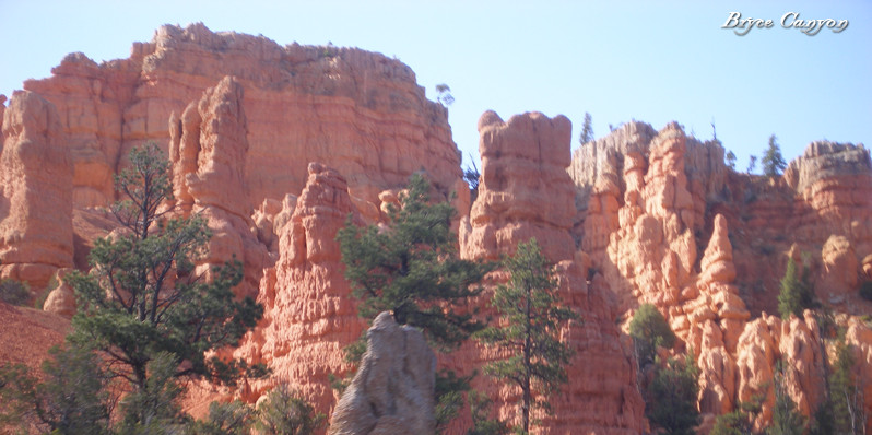 Grandma's Cottage主图