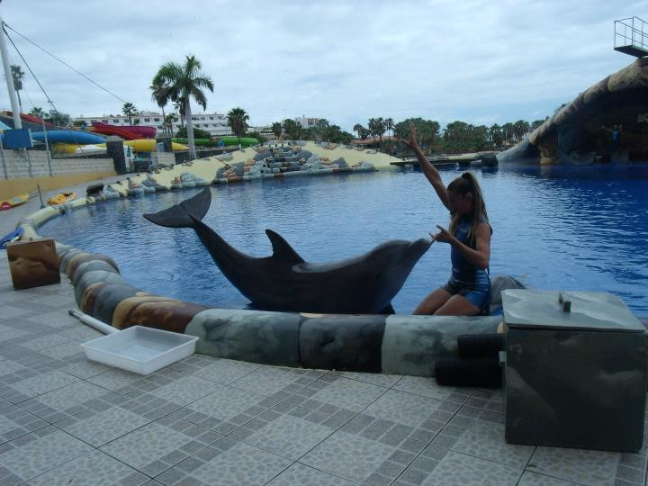 Aqualand Dolphins Encounter景点图片