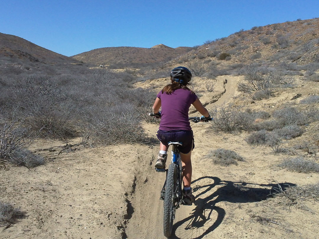 SoloSports Adventure Holidays-Punta San Carlos必去景点