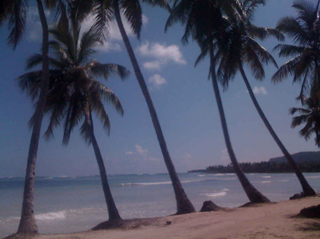 Bahia Chiquita主图