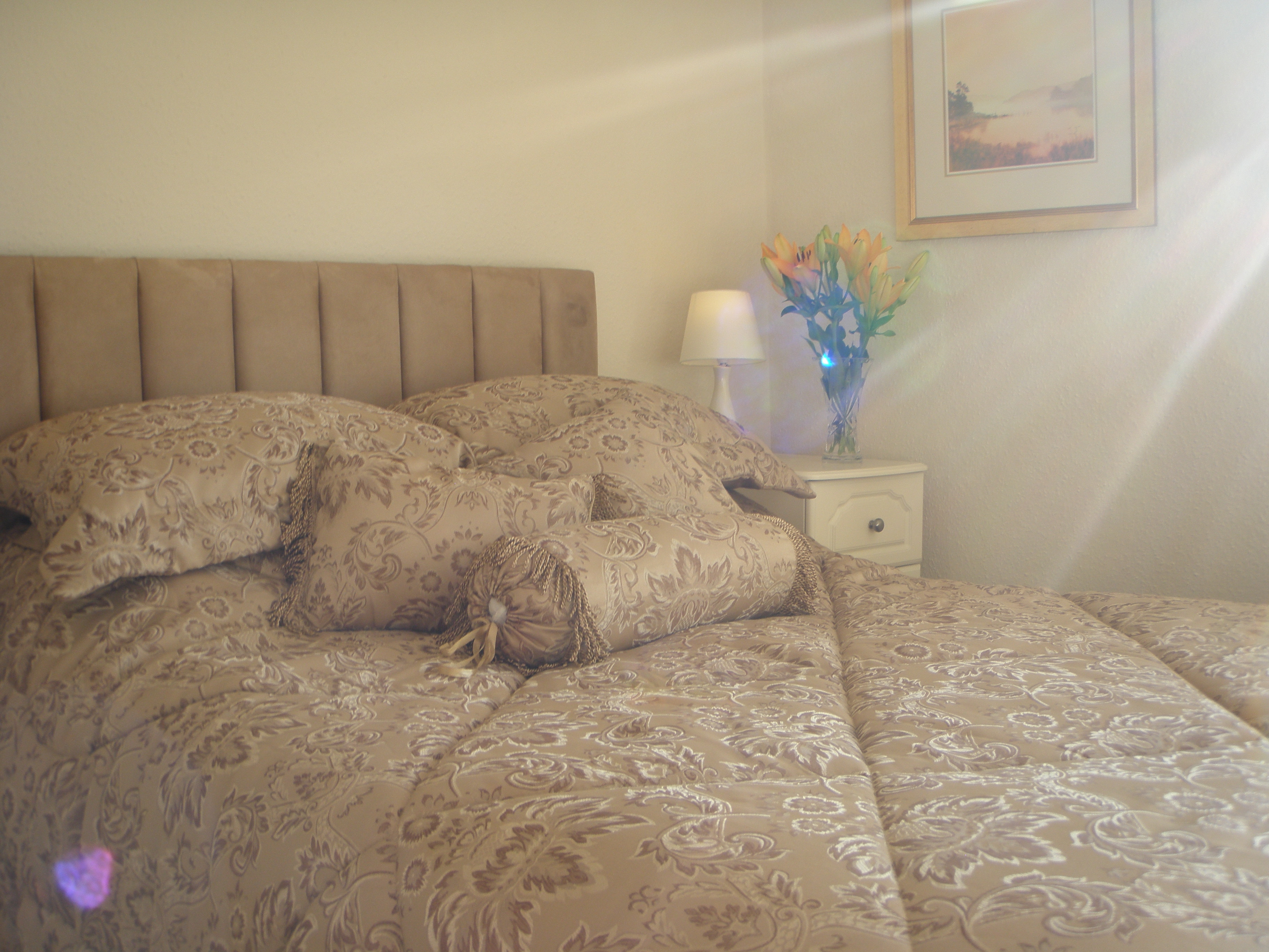 Bay View Bed and Breakfast-官方