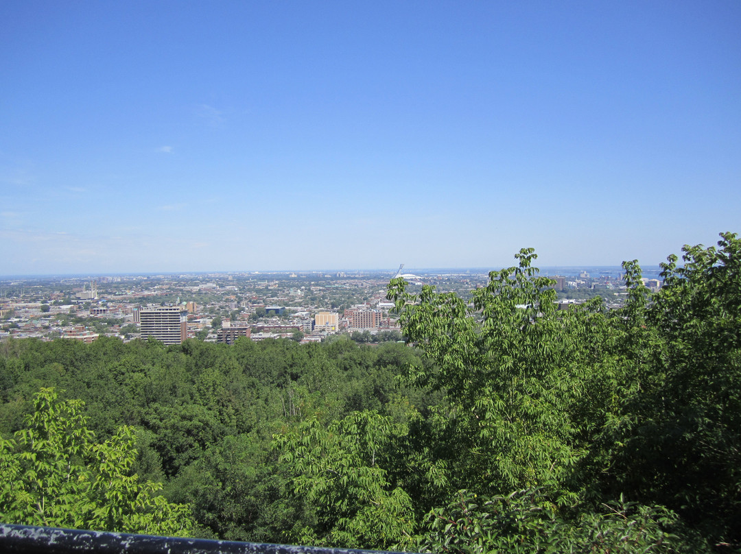 Gray Line-蒙特利尔必去景点