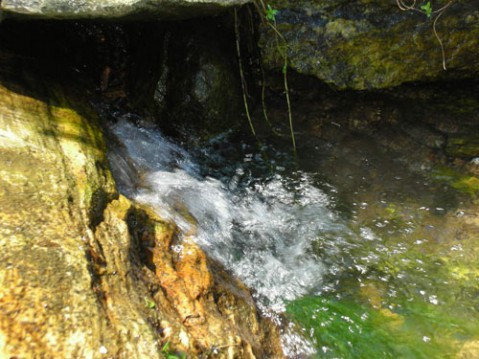 里口山国家森林公园-威海市必去景点