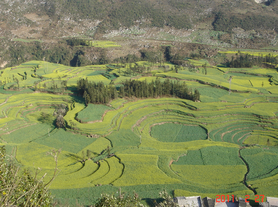 罗平螺丝田-罗平县必去景点
