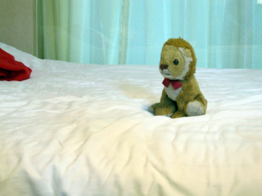 可丽亚宾馆主图