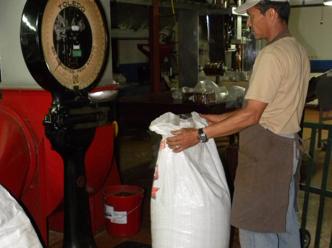 Espiritu Santo Coffee Tour景点图片