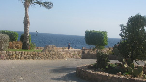 Red Sea Diving College-沙姆沙伊赫必去景点
