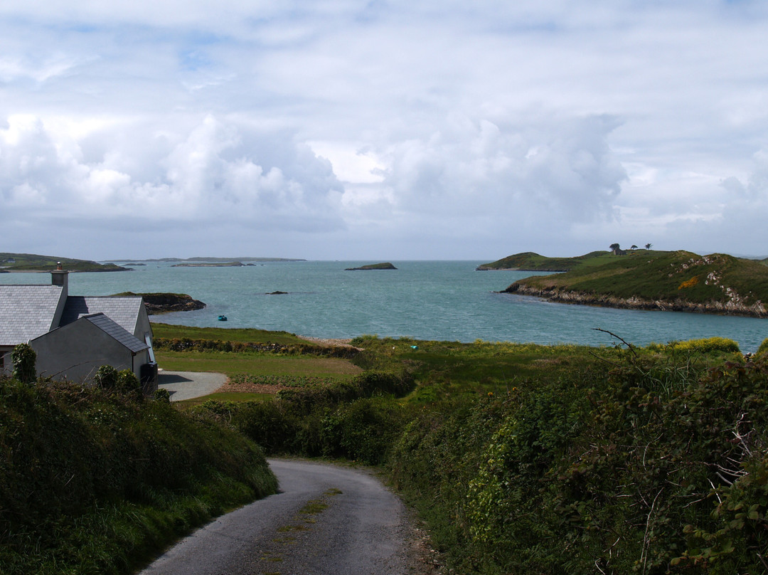 Skibbereen旅游景点-Heir Island