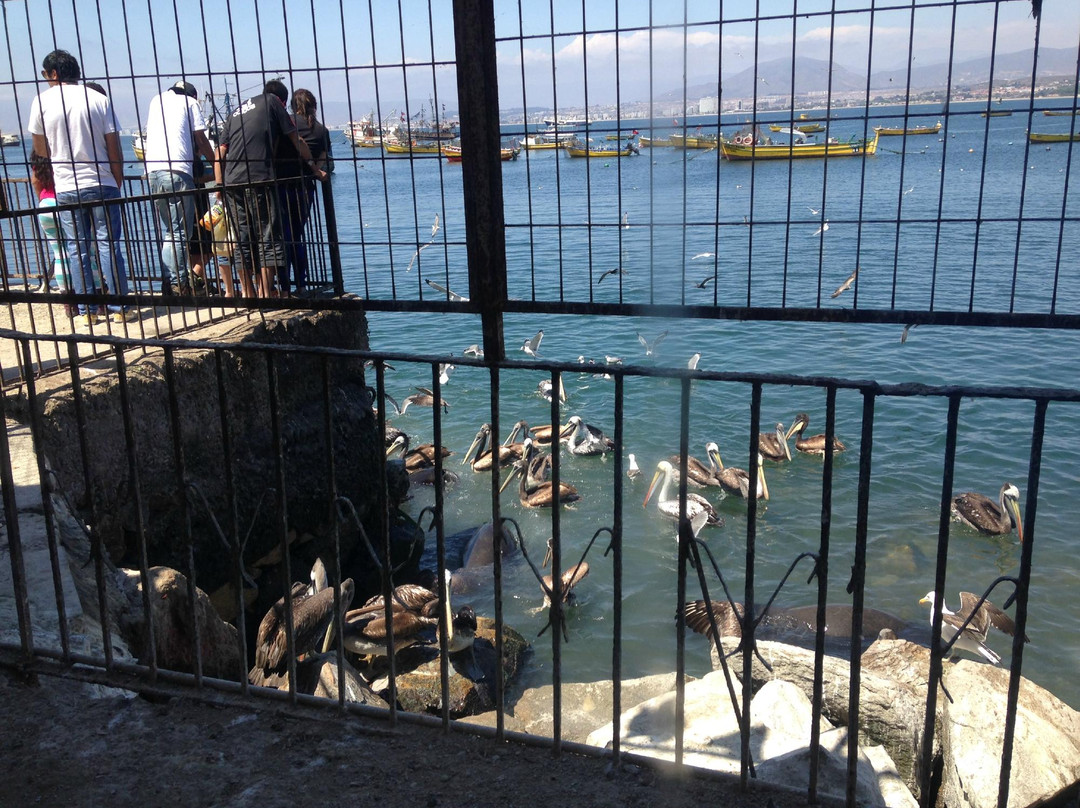 La Herradura餐馆和美食-La Terraza de La Mamy