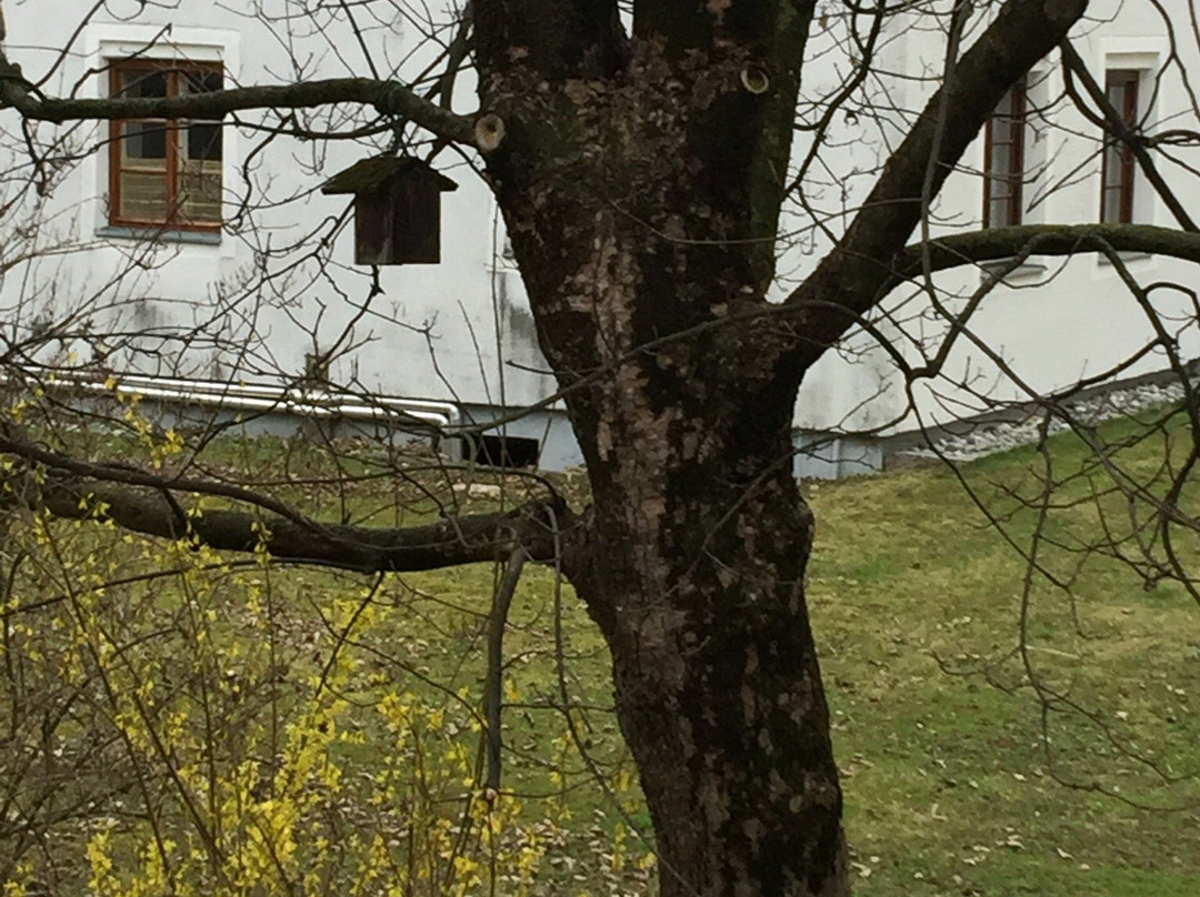 格纳登森林市餐馆和美食-Jagerwirt