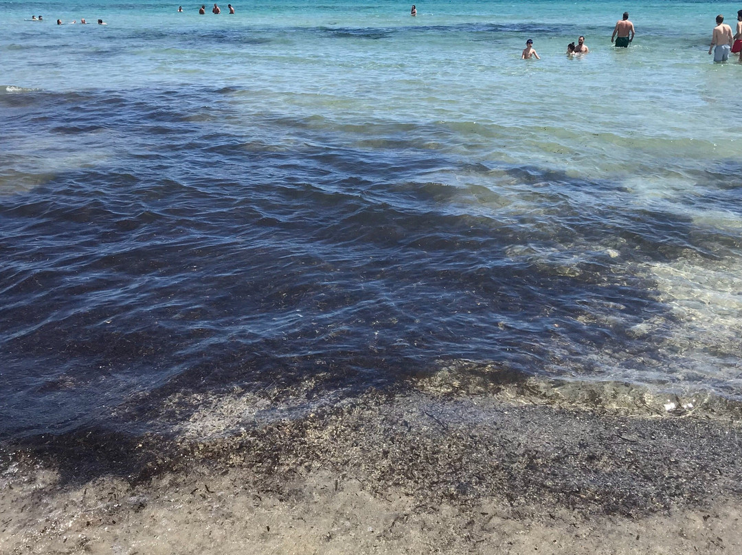 Zio Beach Club景点图片