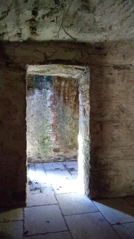 Wilton Castle-portrait