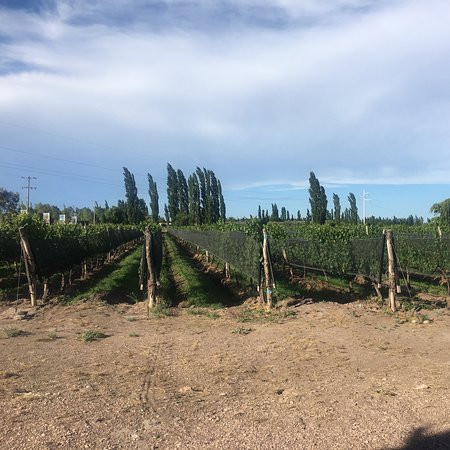 Bodega Finca El Nevado-圣拉斐尔必去景点