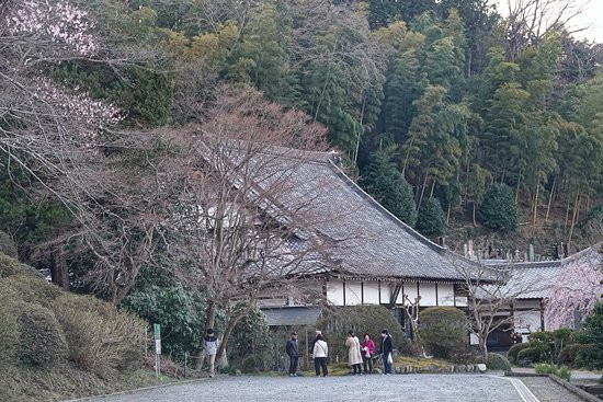 Saiko-ji Temple-小川町必去景点