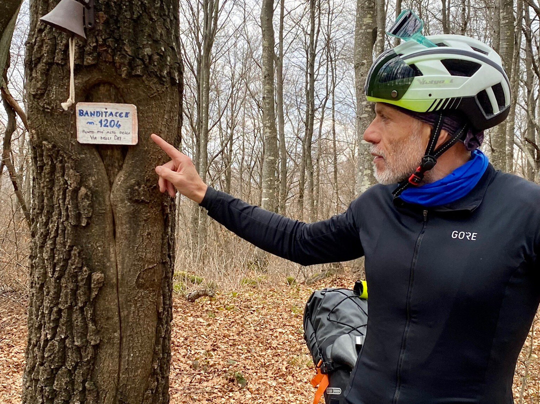 Jesi Bike Tours-杰西必去景点