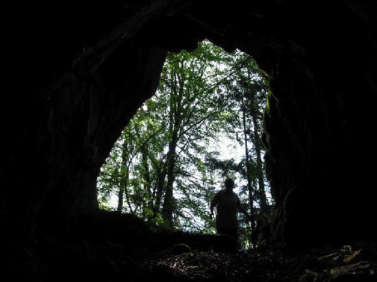Fidov gaj (Fida's grove)-Solcava必去景点