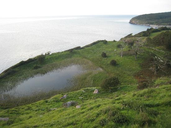 Hammershus Castle Ruins-阿灵厄必去景点