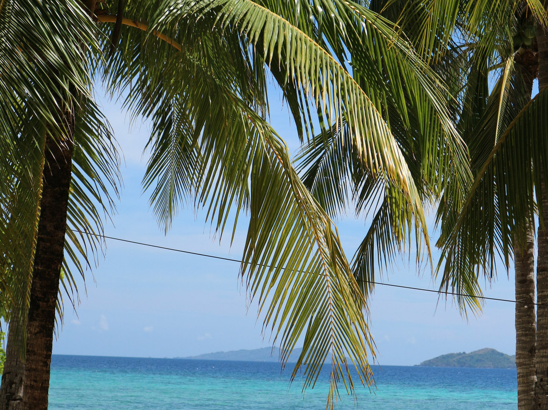 Malcapuya Island主图