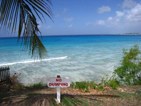 Barry's Surf Barbados Surf School-Dover必去景点