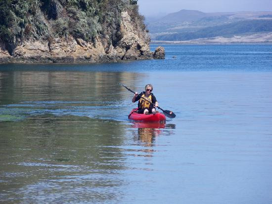 Tomales Bay State Park景点图片