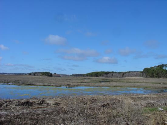 Mass Audubon Wellfleet Bay Wildlife Sanctuary景点图片